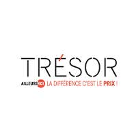 Logo Trésor